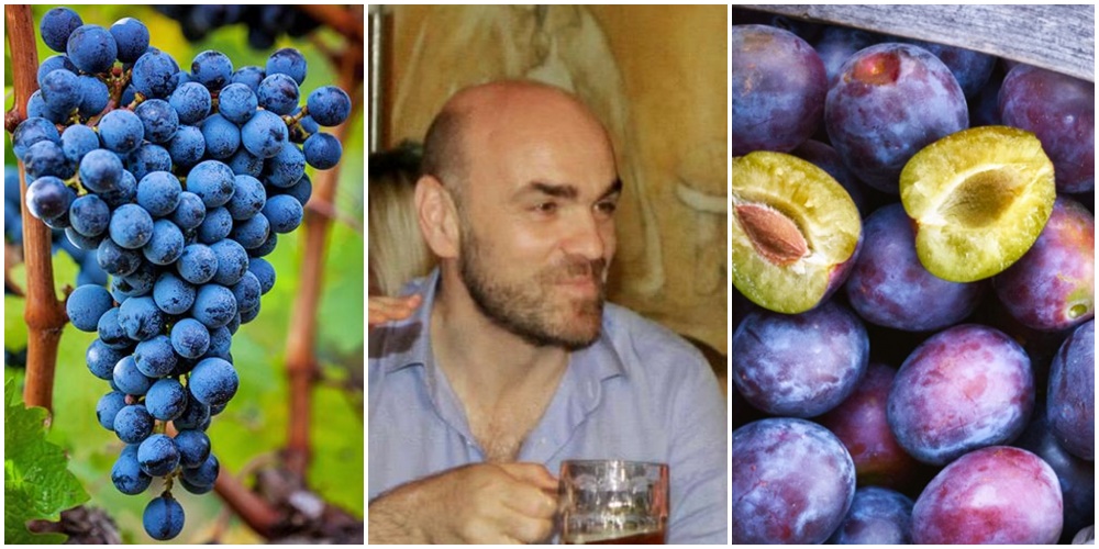 “Lajthitja” e Skerdi Drenovës së OST-së, 120 milionë lekë për t’i bërë “rrush e kumbulla” në evente, pritje e përcjellje