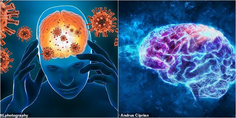 Studimi/ Koronavirusi mund të dëmtojë trurin më shumë nga sa pritej