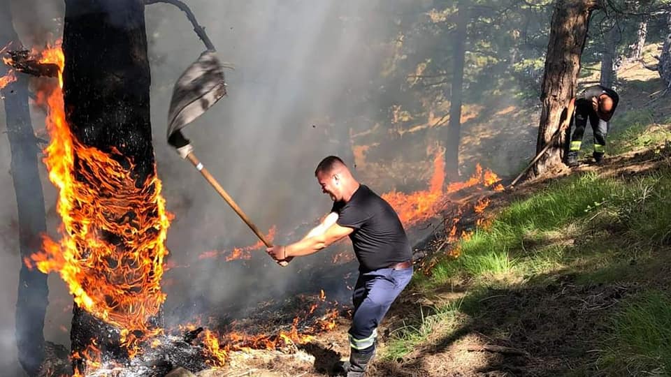 Zjarri vazhdon të djegë pyjet me pisha në Gramsh, kërkohet ndërhyrje nga ajri