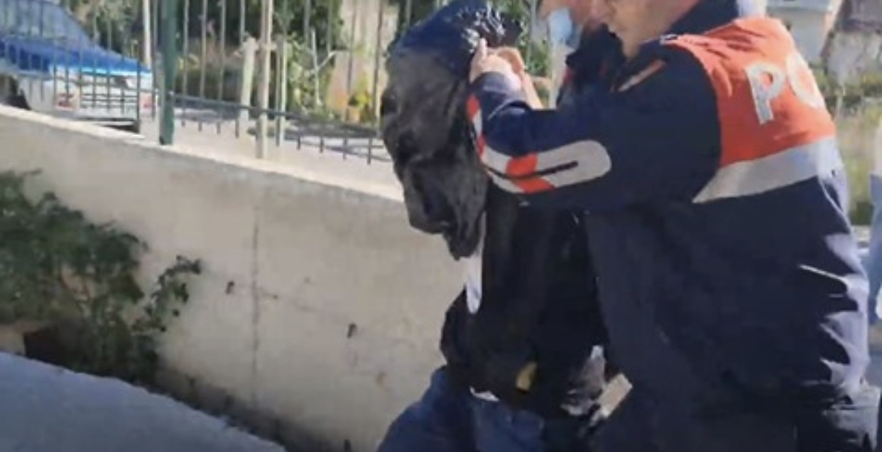 Grabiste të moshuarat pastaj i përdhunonte, arrestohet me qese plehrash në kokë i riu shqiptar