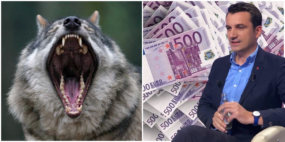 Lali Lekut “i ikën tepeleku”,  550 milionë pa garë vajzës së “ujkut” Shpëtim Cinga