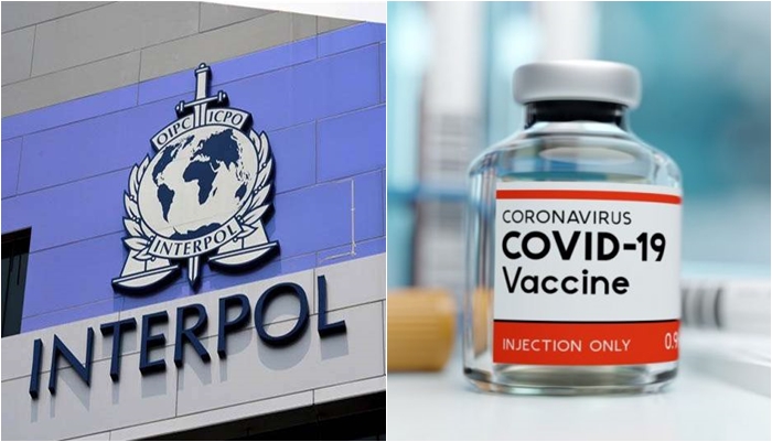 Interpol lëshon alarmin për vaksinat anti-Covid: Mund të sulmohen nga rrjetet kriminale!