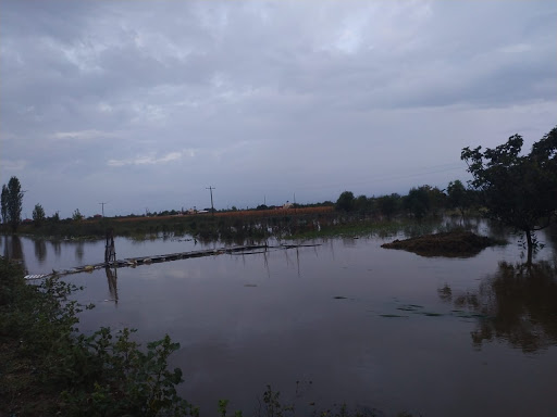 Stuhia përmbyt tokat në Kurbin, rrezikohen shtëpitë