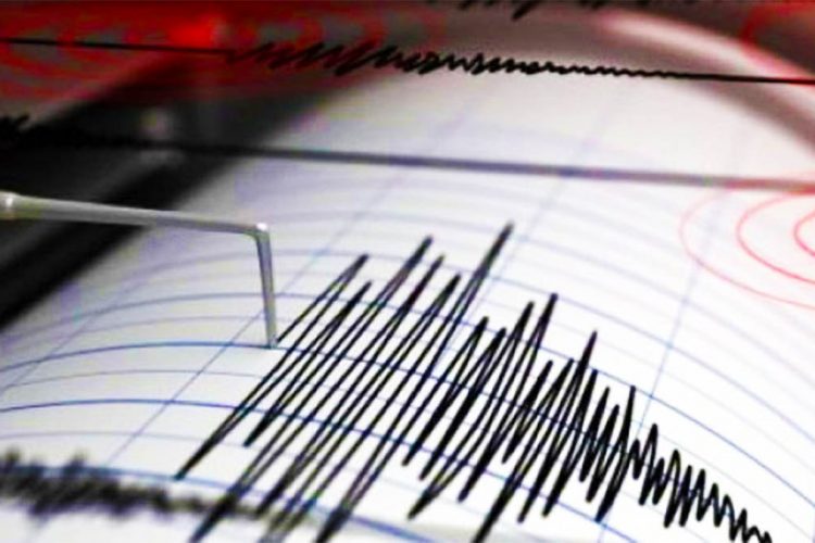 Pas tërmetit 8,1 i shkallës Rihter në Zelandën e Re paralajmërohet cunami
