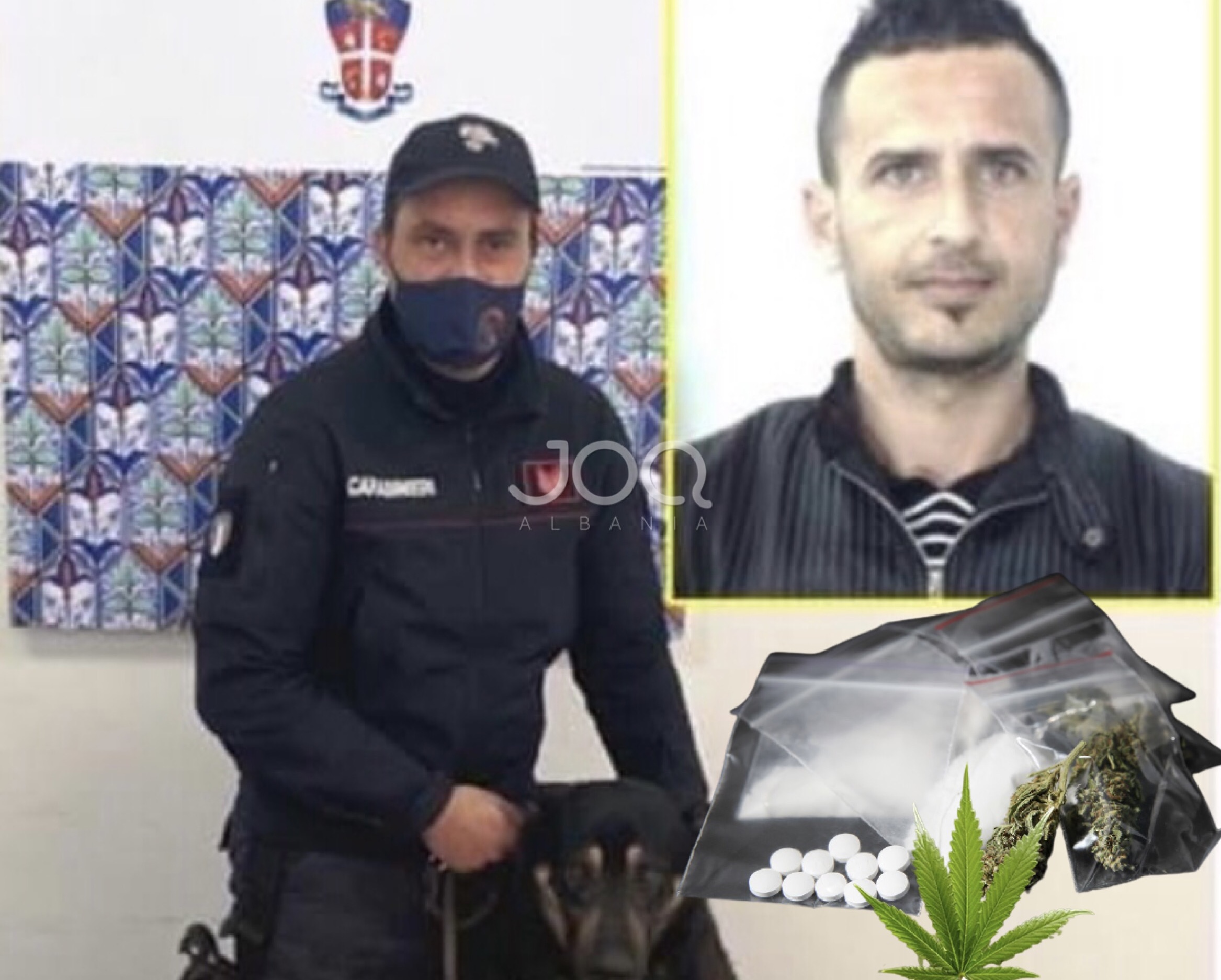Kishte kthyer shtëpinë në ‘dyqan kokaine’, qentë anti-drogë zbulojnë shqiptarin në Itali