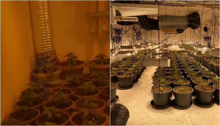 Lushnjarët si ‘shqipet’ e Anglisë, ndërtojnë shtëpi bari në Lushnje