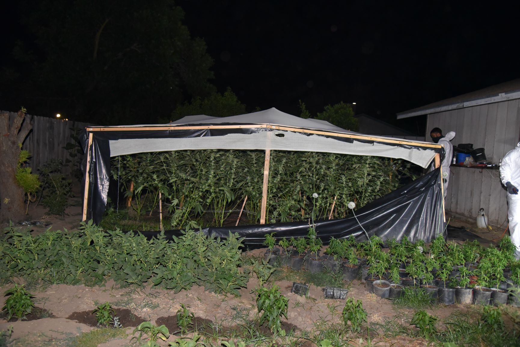 Tragjike! Vdes 3-vjeçarja, mamaja e harroi në makinë teksa kujdesej për hashashin