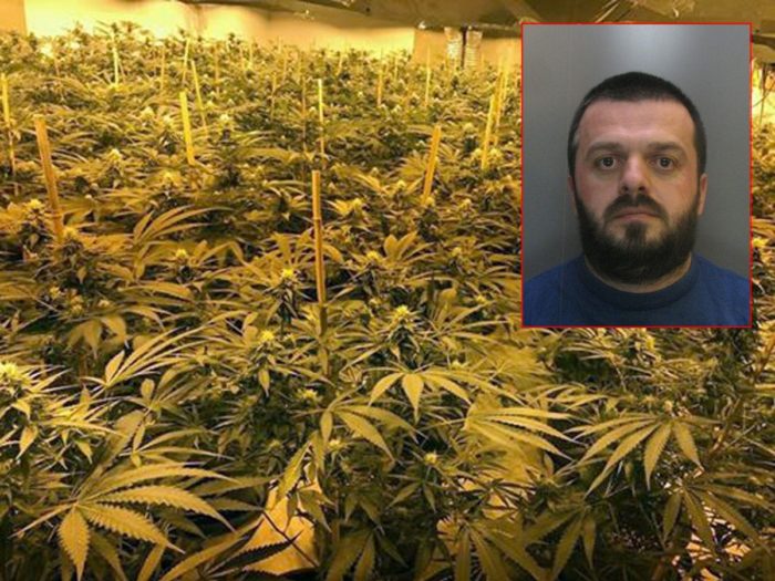 Punonte për të shlyer borxhin e kurimit të nënës me kancer/ Historia e shqiptarit ‘kopshtar’ në Angli