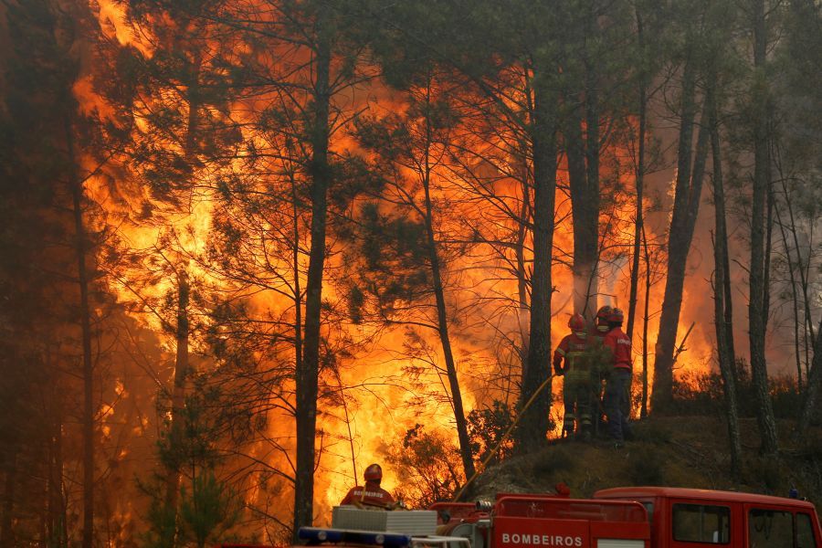 Zjarri masiv në Vlorë/ Shefi i Zjarrfikësve: Nuk kemi mjete, nuk shkojmë dot në disa vatra
