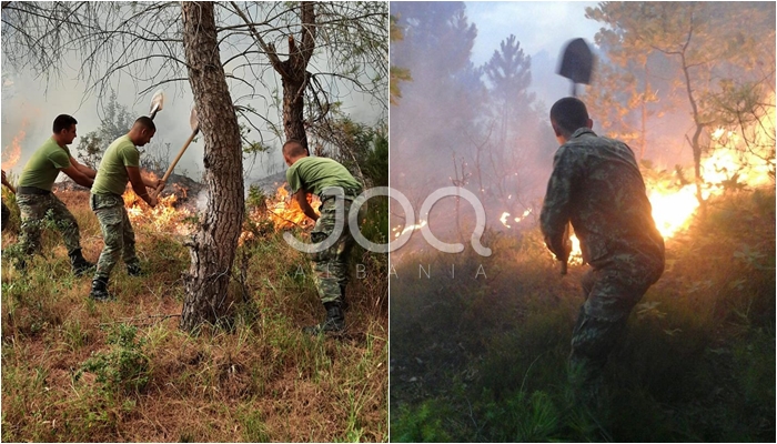 Flakët “pushtojnë” Karaburunin! Digjen mbi 200 hektarë pyje, zjarrfikëset ndërpresin punën