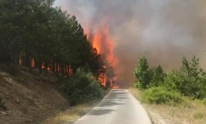 Zjarri kaplon malet e Kokinos, rajoni i Kumanovës