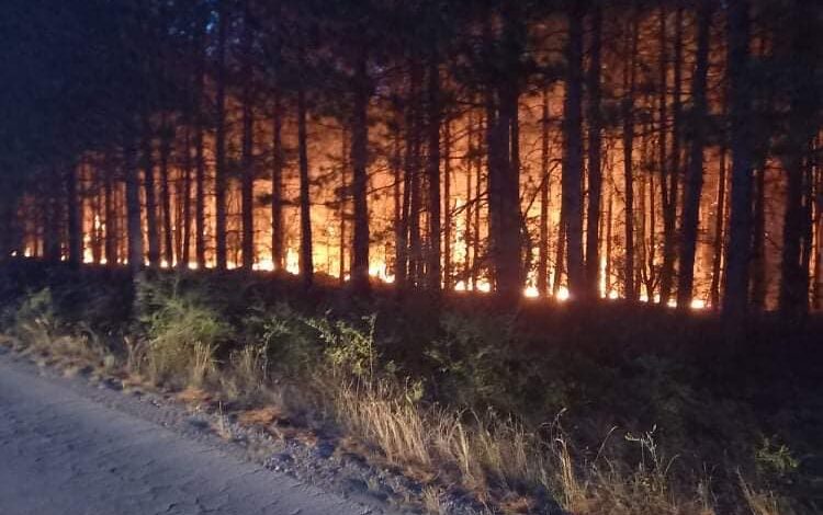 Bullgaria do të dërgojë ndihmë për shuarjen e zjarreve