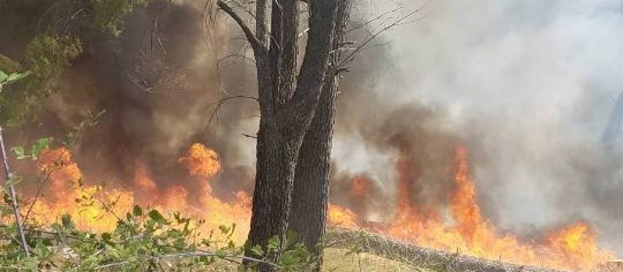 Vatër e re zjarri në Memaliaj/ Shkrumbohen 50 hektarë tokë, zjarrfikësja nuk ka shkuar ende