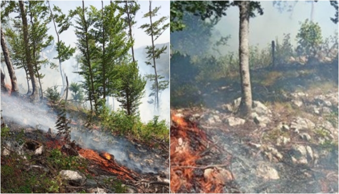 Vatër zjarri në Malin e Qukësit, më shumë se 1 hektar sipërfaqe e djegur
