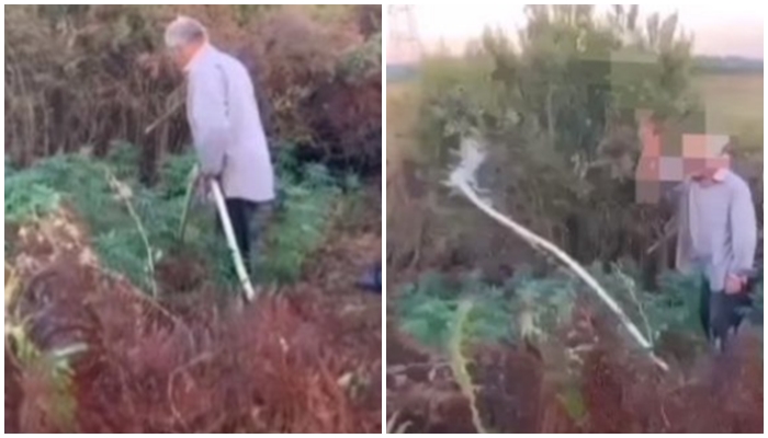 Video epike! I moshuari kapet “mat” duke vaditur hashashin, hedh zorrën në tokë i trembur