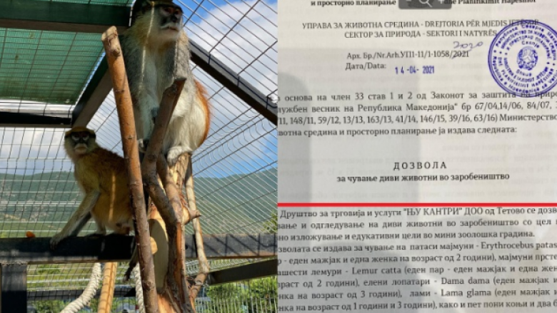 Reagon pronari i kopshtit zoologjik në Çegran: Kam leje
