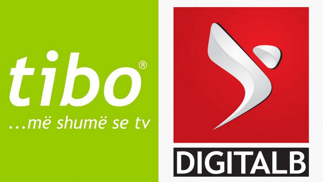 Digitalb padit Tibo/ Padia në gjykatë për vjedhje dhe shkaktim dëmi