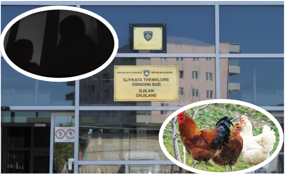 Gjykata e Gjilanit dënoi dy persona për 4 pula, por e fyeu viktimën e sulmit seksual