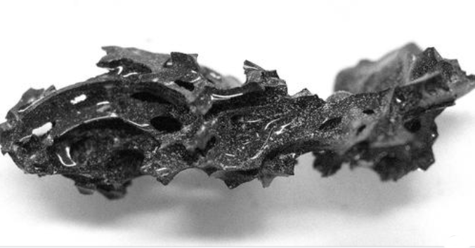Ky shkëmb i zi vezullues është një tru njeriu që ka shpërthyer 2000 vjet më parë