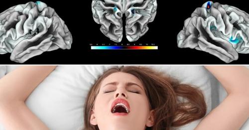 Studimi: Femrat që bëjnë më shumë seks kanë tru më të zhvilluar