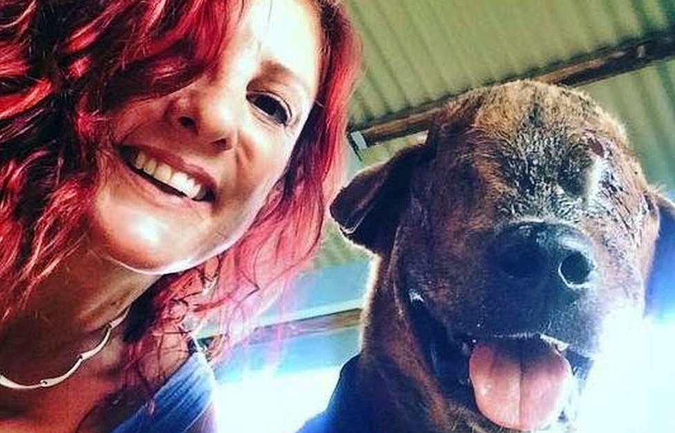 U përpoq të shpëtonte qentë, gruaja humb jetën nga cunami i Tongës