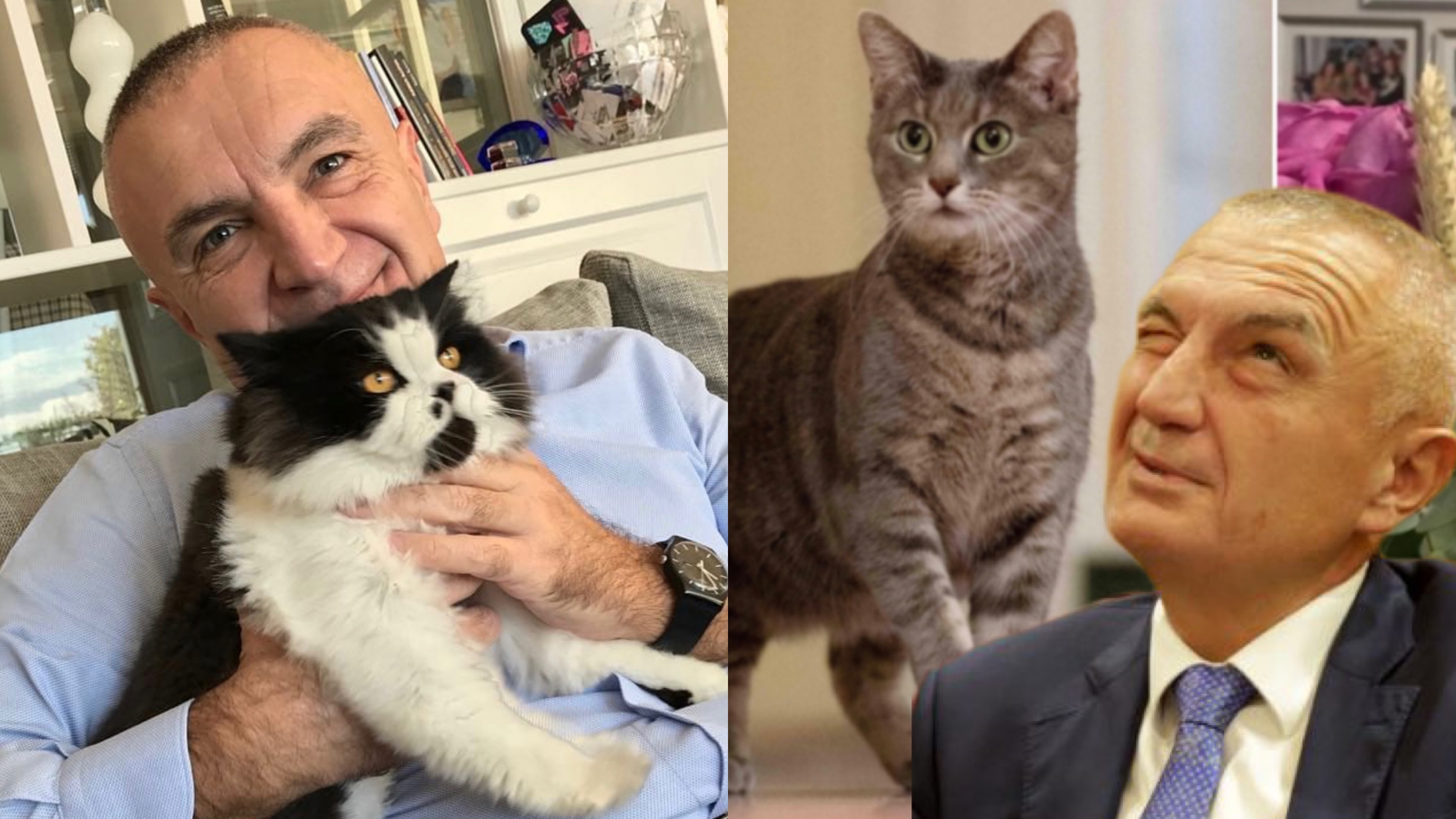 Ilir Meta i prezanton macen e tij presidenciale Sashën, maces së Joe Biden