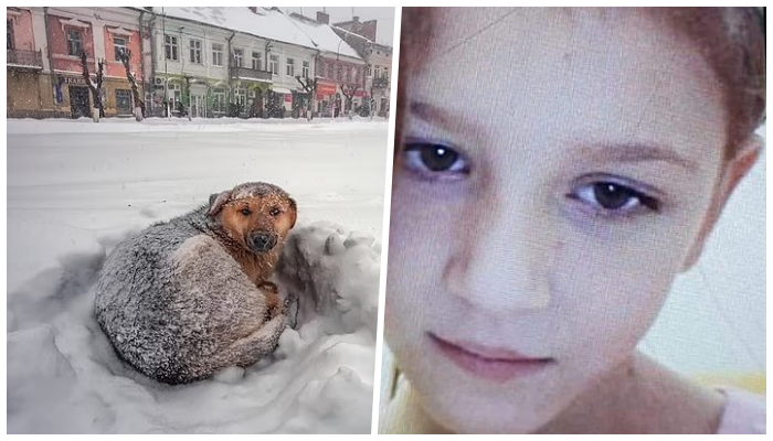 Qeni i shpëton jetën vajzës në stuhinë e borës: Qëndrojnë 18 orë të përqafuar në temperatura -11 gradë C