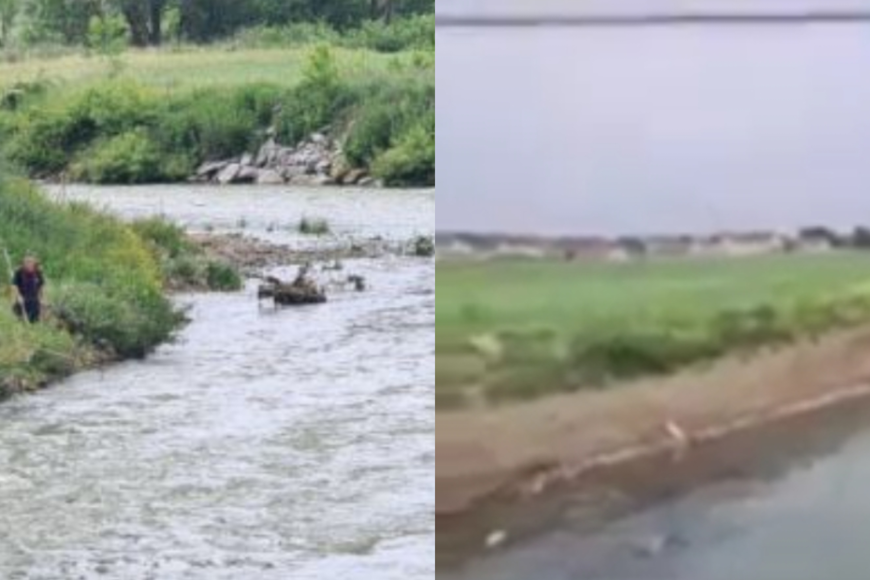 VIDEO/ Një person dyshohet se rënë në lumin e Klinës