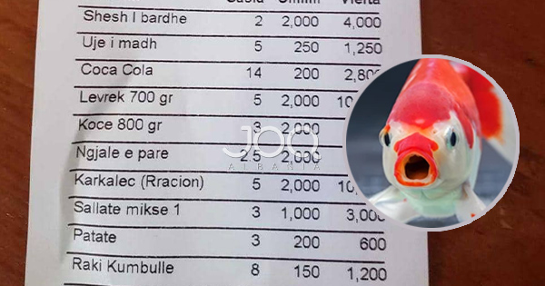 “Çmendet” restoranti në Lezhë, 20 mijë lekë çdo lloj peshku