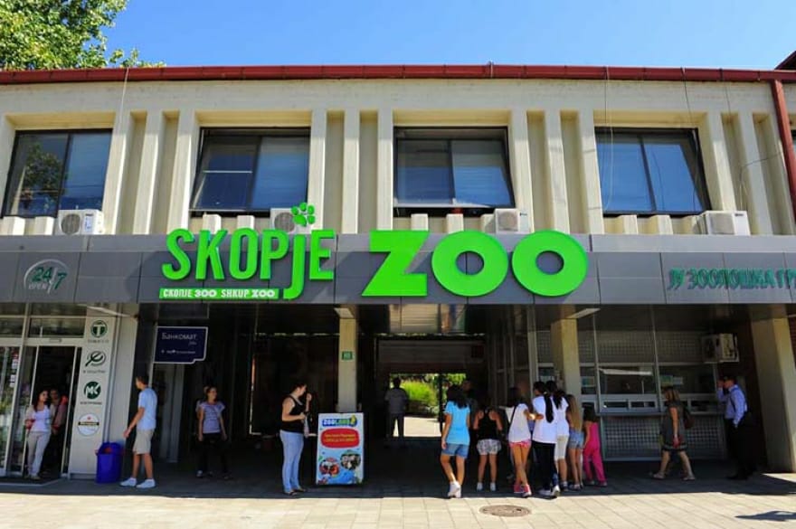 Ngjarje e çuditshme në kopshtin zoologjik në Shkup, thyhen drynjët dhe lirohen disa kafshë