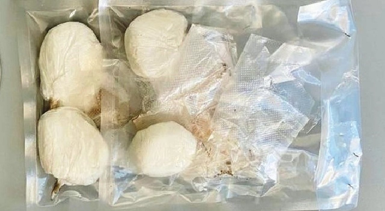 Shqiptari shkon me traget në Itali, në Mercedes kishte fshehur 24 kg kokainë