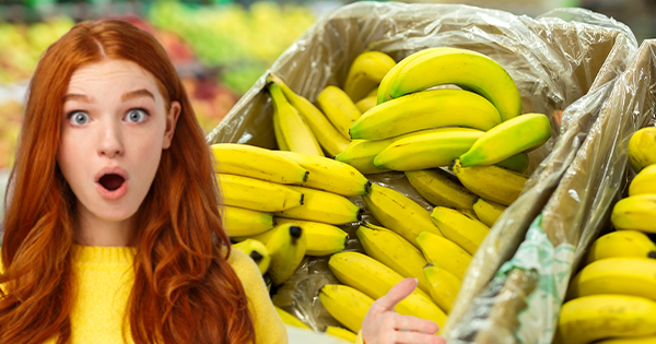 Kokaina e fshehur mes bananeve dorëzohet gabimisht tek supermarketet e Çekisë