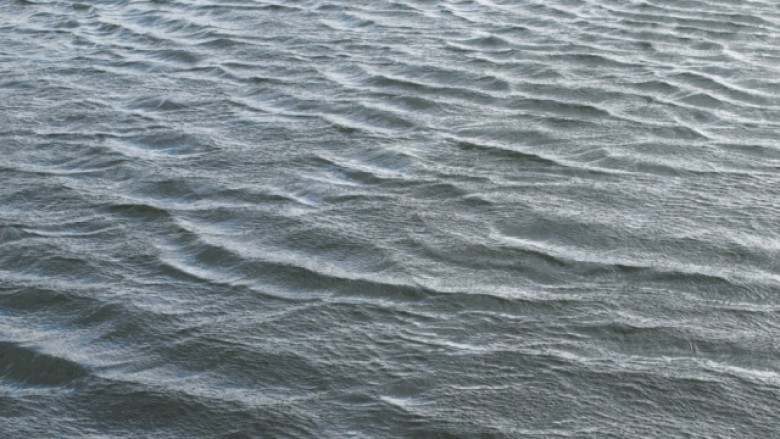 Mbytet një 14 vjeçar në liqenin e Berovës