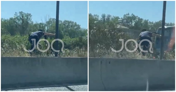 Majmun apo njeri? Polici kacavirret mbi betonin e autostradës për të kapur mat shoferët me radar