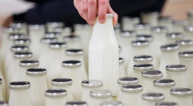 Mbi 5.000 prodhues të qumështit në Maqedoni do të marrin subvencione