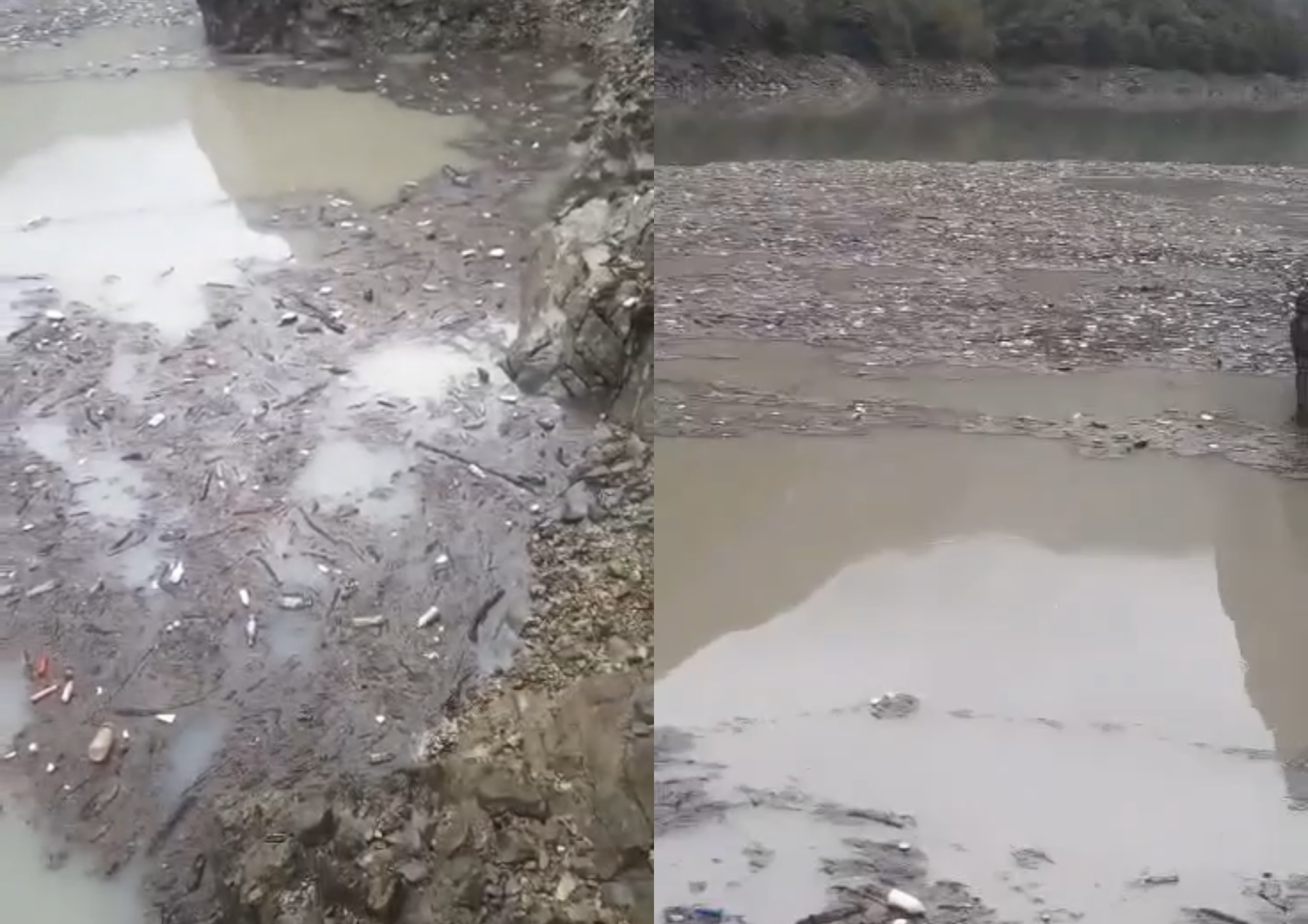 Katastrofë mjedisore në Koman, liqeni mbushet plot me mbeturina