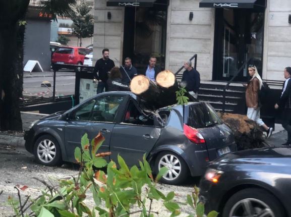 Rrëzohet pema në mes të rrugës në Tiranë, zë poshtë makinën