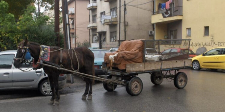 U rrëzua nga karroca me kalë, humb jetën i moshuari në Peqin