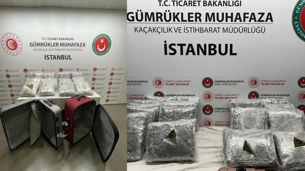 Valixhet me kanabis u nisën nga Tirana drejt Stambollit, qentë antidrogë zbuluan drogën në aeroport
