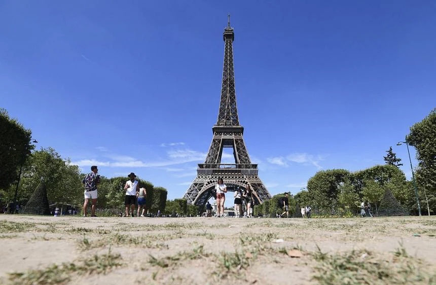 Pas protestave disa mujore, Parisi heq dorë nga prerja e pemëve për ndërtime të reja