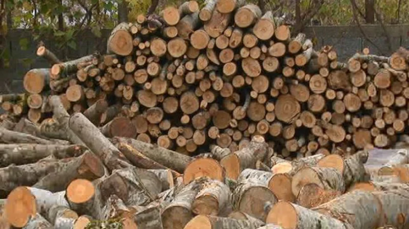 Tetovë, pensionistët kanë mbetur pa dru për ngrohje
