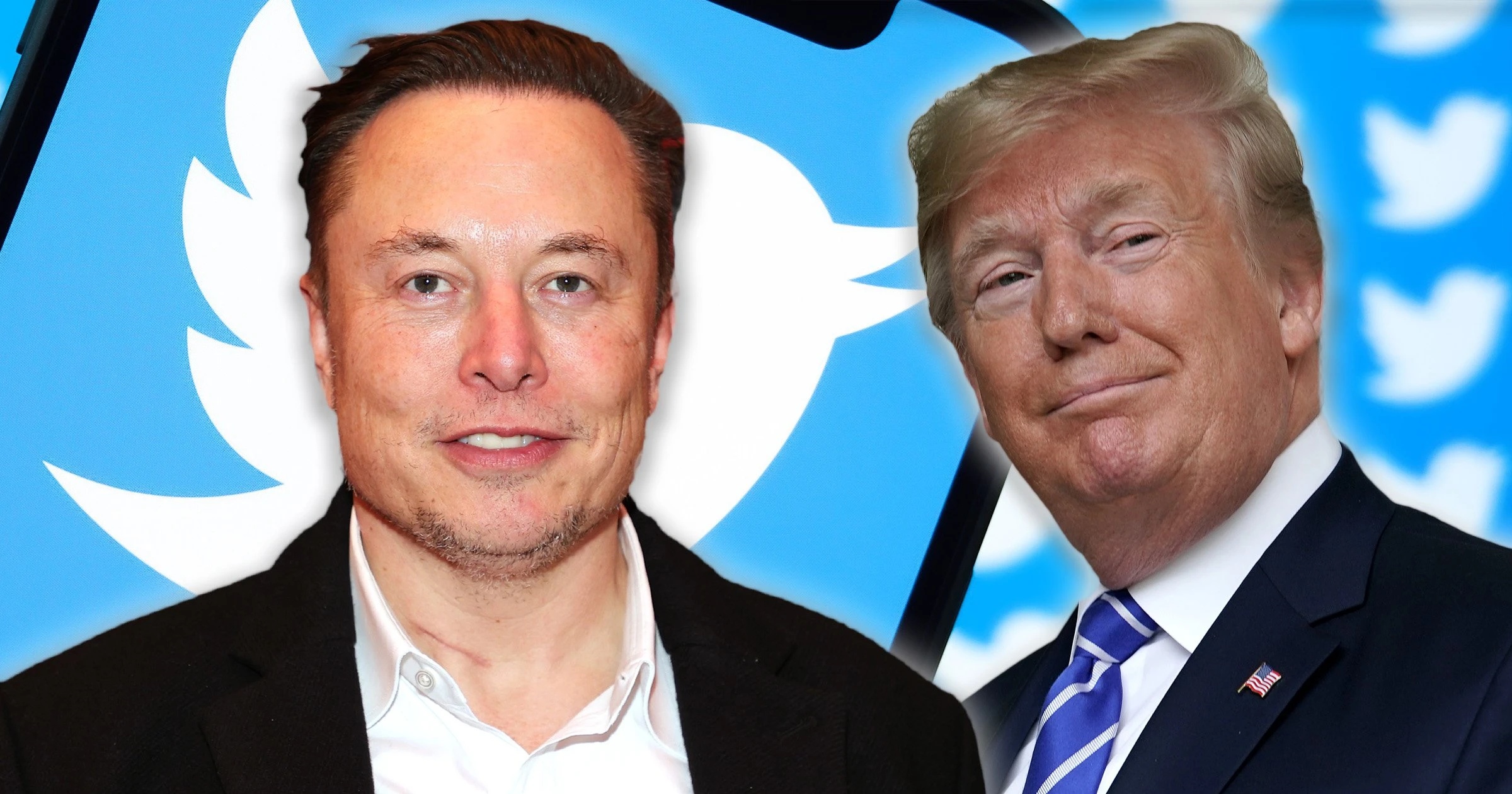 Elon Musk merr kontrollin e Twitter, shkarkon disa drejtues! I hapet rruga rikthimit të Donald Trump