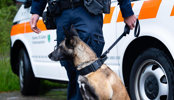 Qeni i policisë i ndalon dy kosovarë të dyshuar për vjedhje