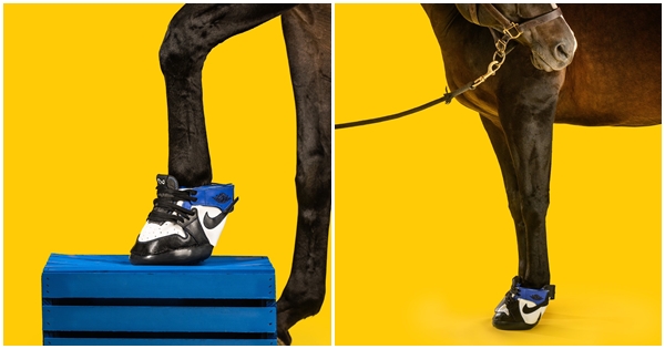 Një kompani këpucësh prodhon atlete për kuajt