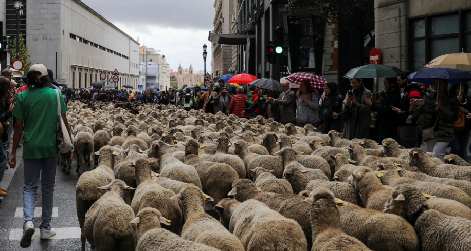 VIDEO/ “Zhduken” makinat, delet pushtojnë rrugët e Madridit në Spanjë