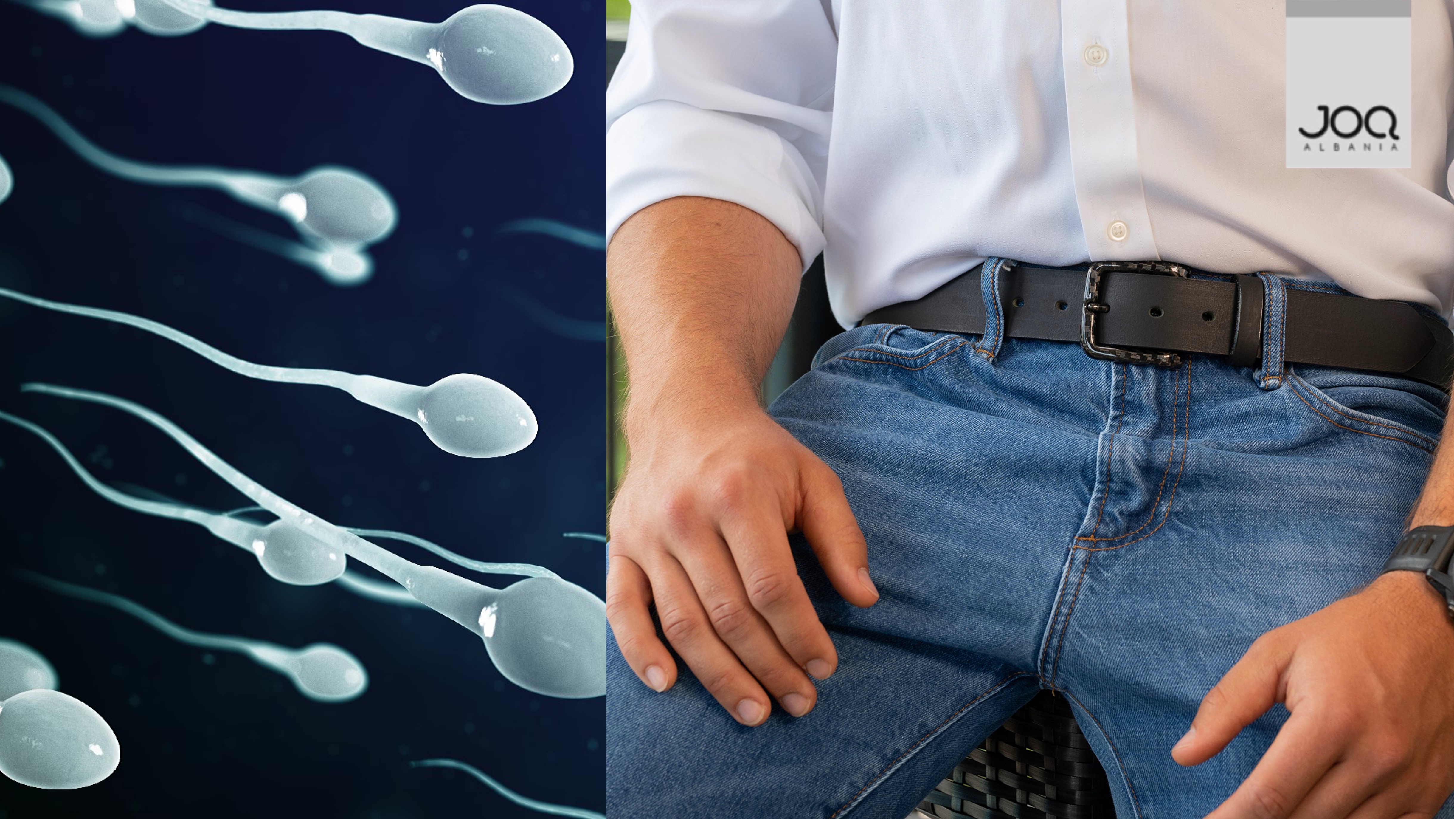 STUDIMI “ngre alarmin”: Meshkujt po prodhojnë më pak spermë se 10 vite më parë