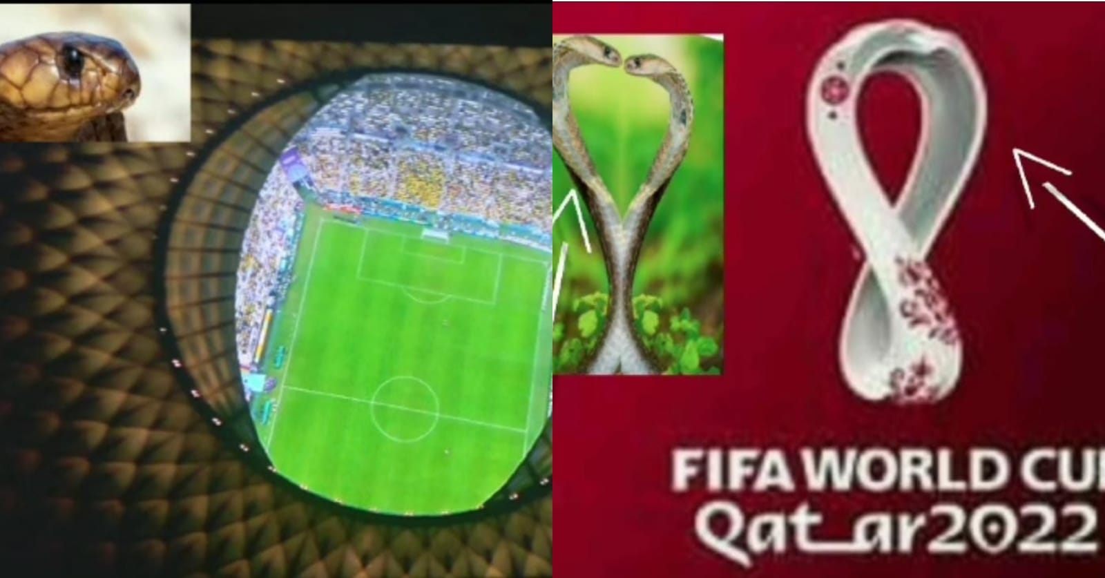 E habitshme/ Simboli i “Katar 2022” është kobra, gjithçka e dizenjuar me figurën e gjarprit