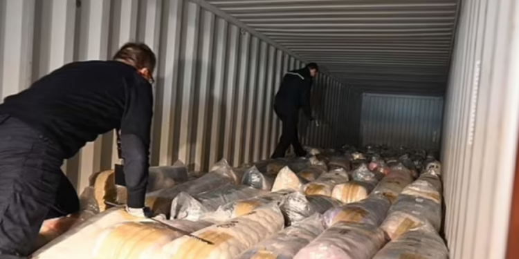 Tonelata kokaine përfundojnë në Belgjikë, s’ka kapacitetet për shkatërrimin e sasive të kapura