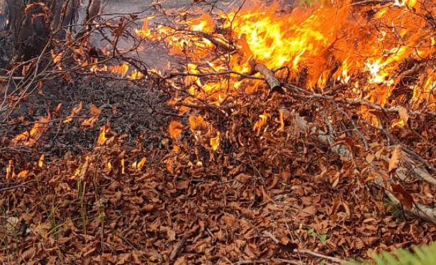 Zjarri tek “Guri i Capit” në Korçë, shpërthejnë dhjetëra municione