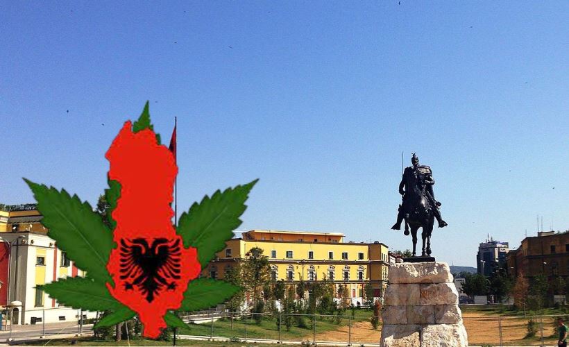 10 shtetet që prodhojnë dhe shesin më shumë kanabis, Shqipëria është e para në Evropën Juglindore